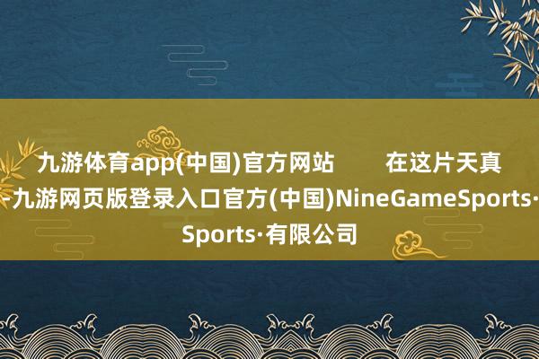 九游体育app(中国)官方网站        在这片天真的地盘上-九游网页版登录入口官方(中国)NineGameSports·有限公司