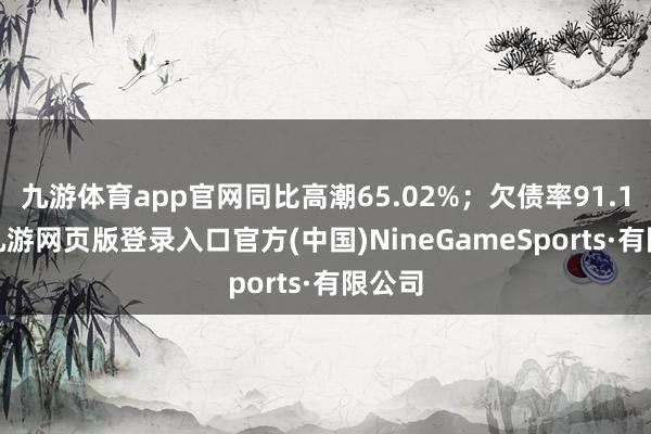 九游体育app官网同比高潮65.02%;欠债率91.19%-九游网页版登录入口官方(中国)NineGameSports·有限公司