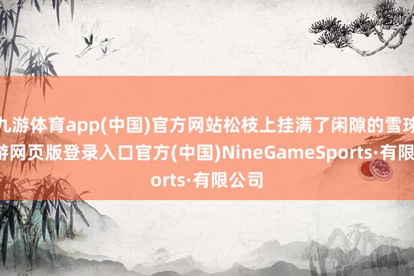 九游体育app(中国)官方网站松枝上挂满了闲隙的雪球-九游网页版登录入口官方(中国)NineGameSports·有限公司